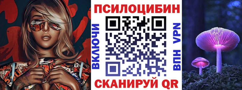 как найти закладки  Озёры  Псилоцибиновые грибы Magic Shrooms 